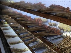 -镇江龙·火锅串串(武侯祠店)