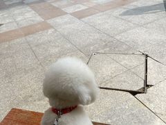 -SPARROW 家雀儿咖啡本店