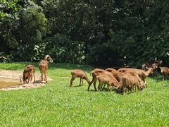 -广州长隆野生动物世界