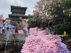 -茅山东方盐湖城景区