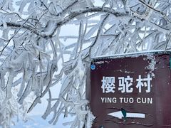 -紫金山山顶公园