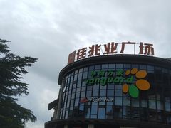 -大鹏佳兆业广场