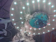 -烟台海昌鲸鲨海洋公园