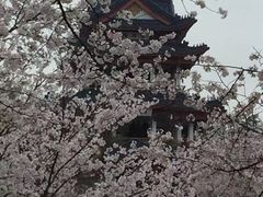 -苏州吴中太湖旅游区