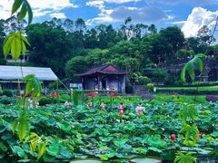 -广州莲花山旅游区
