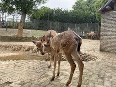 -武汉紫薇都市田园