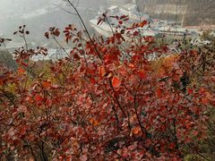 -狼牙山风景区
