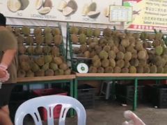 -都念榴莲·城市榴莲