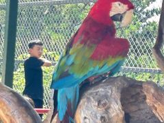 -西霞口神雕山野生动物世界