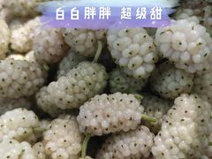 -御林古桑园