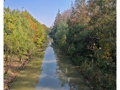 -上海长兴岛郊野公园