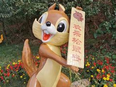 -欢乐松鼠谷