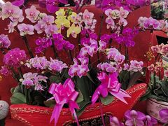 -李村大集