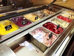 -Patagonia Chocolates(皇后镇店)