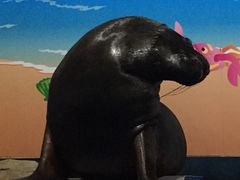 -泉城欧乐堡海洋极地世界