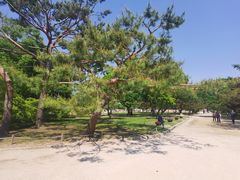 -景福宫