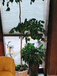 -香秀空间科技抗衰·美容中心