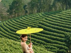 -帐篷客·溪龙茶谷度假酒店