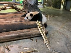 -海南热带野生动植物园