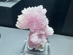 -青岛海泉湾皇冠假日度假酒店