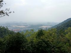半山观景-大雁山风景区