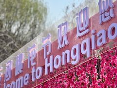-桃花堤公园