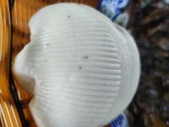 -照金特色农家乐