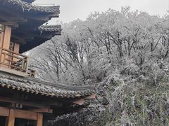 -娄山关景区