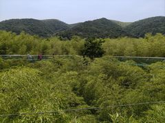 -陶祖圣境风景区