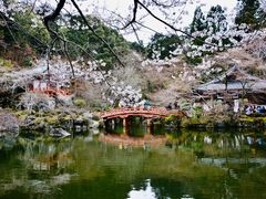 -醍醐寺