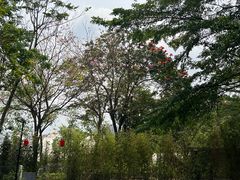 -云栖山谷露营地·团建年会·生日派对