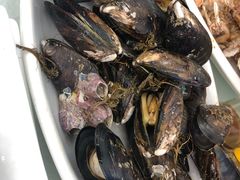 -渔中舟海鲜大排档(普陀沈家门店)