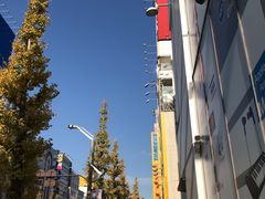 -秋叶原电器街