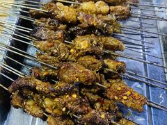 -清真·马峰烤肉(小学习北巷店)