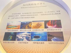 -金钉子远古世界景区