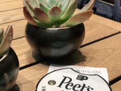 -Peet's 皮爷咖啡(陆家嘴中心店)