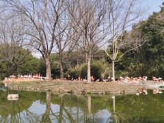 -上海野生动物园