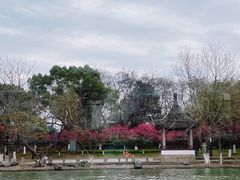-苏州古运河游船(新市桥码头)