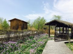 -溱湖国家湿地公园