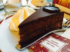 萨赫蛋糕-Cafe Sacher(WIEN)
