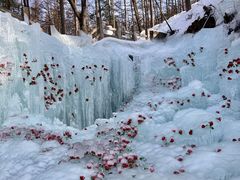 -洛阳白云山景区