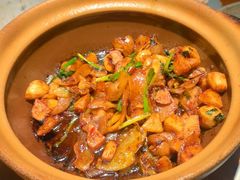 -馋嘴猫北京食堂·烤鸭·宵夜(亚运村店)
