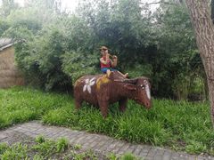 -溱湖国家湿地公园