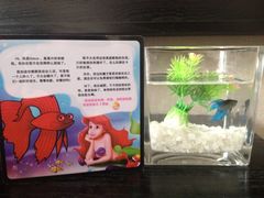 桔子水晶酒店(三元巷店)-南京新街口桔子水晶酒店