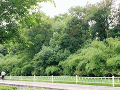 -西溪天堂·悦居