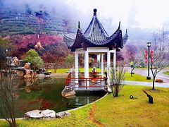 -安吉涵田度假村·水榭居中餐厅