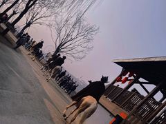 -白鹿原影视城