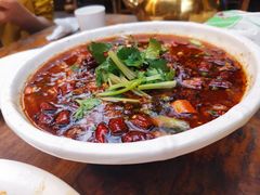 水煮牛肉-香叶草中餐厅(川白楼店)