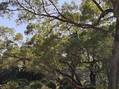 -广州莲花山旅游区