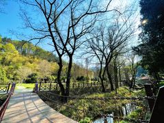 -素山寺森林公园